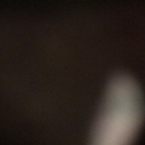 Meet your Posher, Brayden